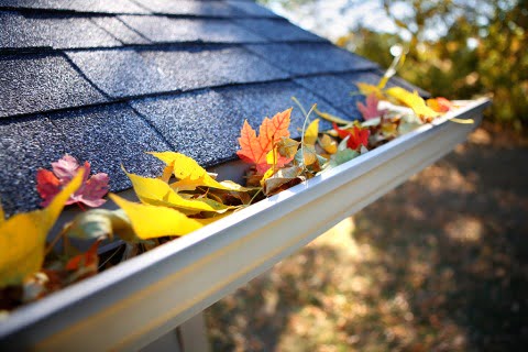 PVC Gutter Cleaning and Clearing Dublin, Gutter Services - All Weather Roof Cleaners